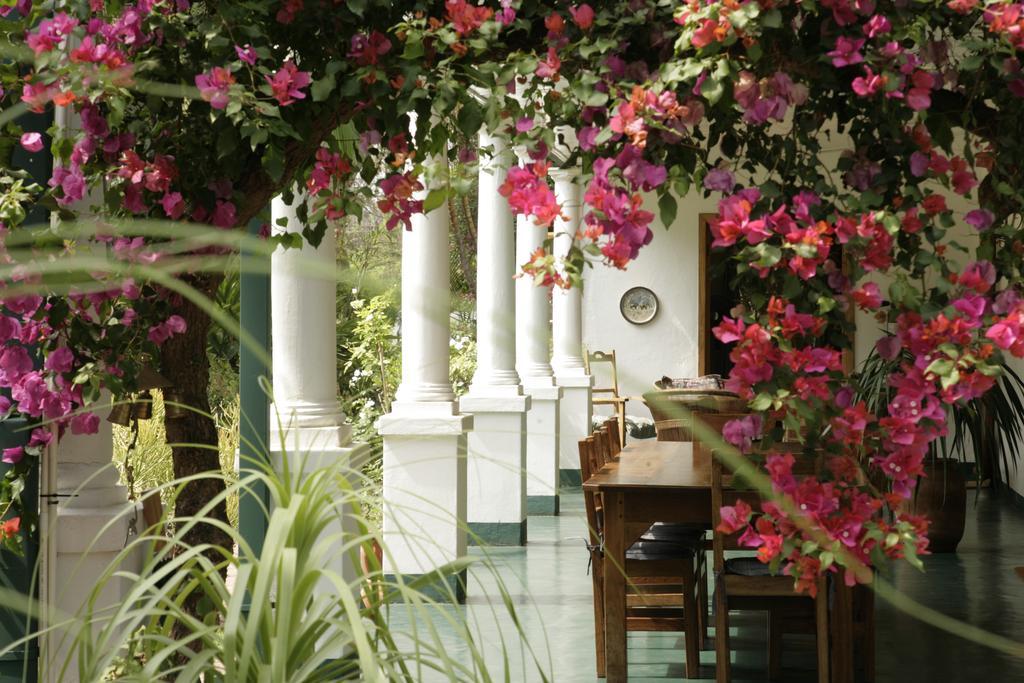 York Lodge Harare Exteriör bild